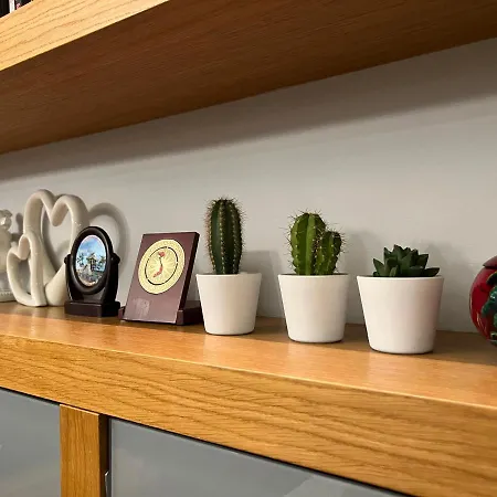 Апартаменты In Odra House *