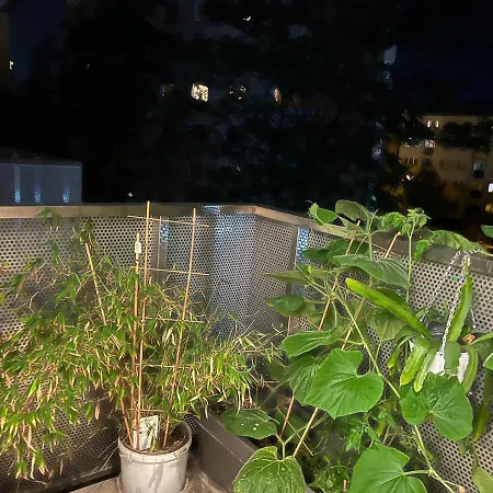 In Odra House * Вроцлав