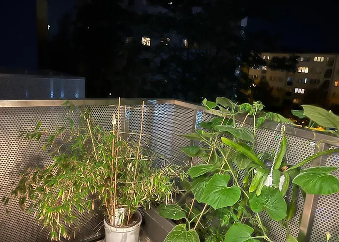 In Odra House * Вроцлав